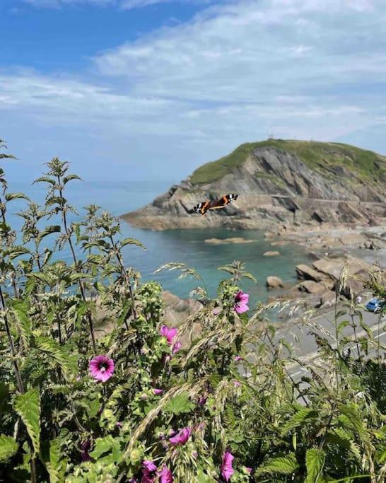 Paramount Apartments Ilfracombe, Arty Seaside Holiday Apartments Zewnętrze zdjęcie